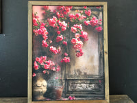 Pink Blossom Pic