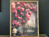 Pink Blossom Pic