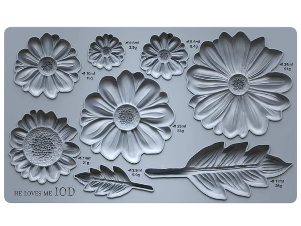 He loves me 6X10 IOD MOULD