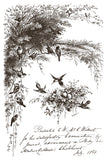 New Summer 2026 LITTLE LARK IOD PAINT INLAY 8X12 PAD™