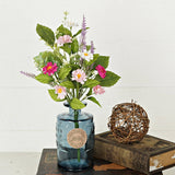 Pink Cream Daisy with Mix Leaves Bush