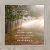 There Are Some Who Bring Great Light Into The World Sympathy