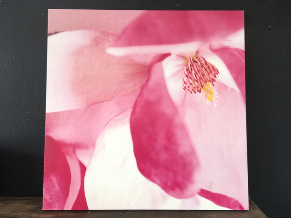 Shades of Pink Floral Canvas