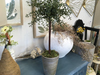 Topiary