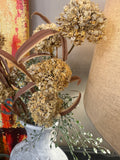 24” cream allium spray