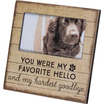 Hello goodbye dog