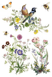 FLORA GRECA IOD TRANSFER 8X12 PAD