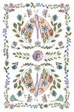FERN FABLES IOD TRANSFER 8X12 PAD™