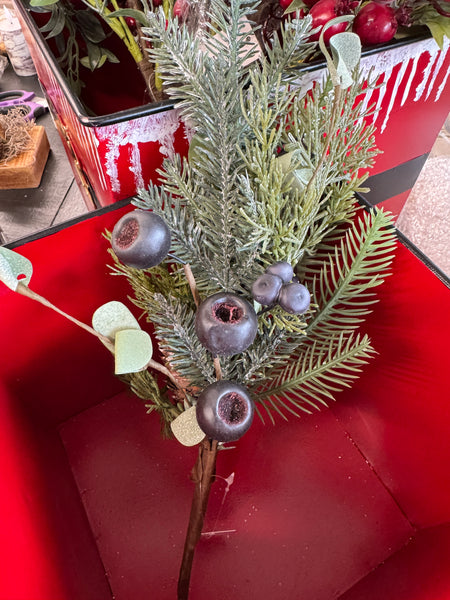 Blue tallow berries  & evergreen spray