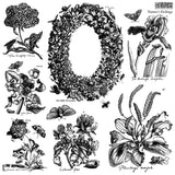 New Summer 2026 NATURE'S ETCHINGS 12X12 IOD STAMP 2 SHEETS™
