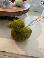 Moss duck ornaments