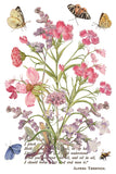PRIMROSE ISLE IOD TRANSFER 8X12 PAD™