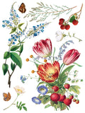 MARCHÉ DES FLEURS IOD TRANS