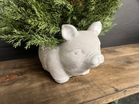 Concrete pig planter