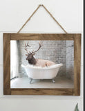 Baby animals bathtub framed wood picture sign