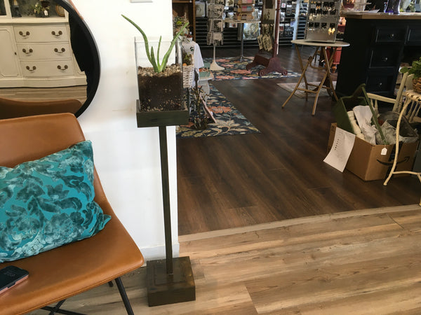 (Copy) Terrarium on a Stand