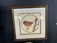 Square bird picture