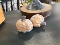 Tan and Gray Pumpkins