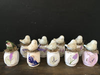Sitting Birds