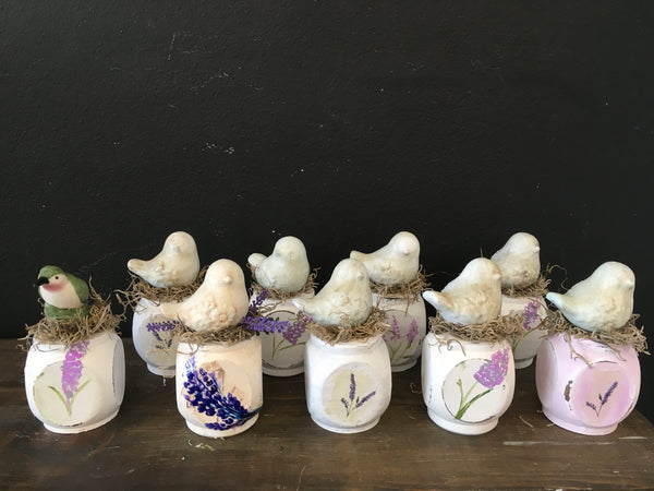 Sitting Birds