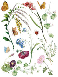 MARCHÉ DES FLEURS IOD TRANS