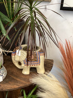 Elephant and plant