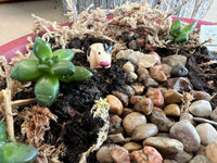Mini kid garden make take
