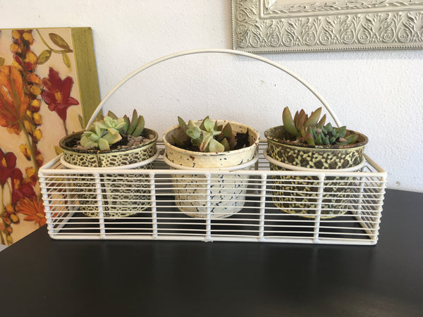 Wire Trio Planter with Succulents
