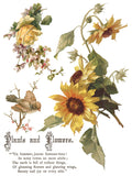 FLOWERS BY THE POETS IOD TRANSFER 12X16