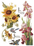 FLOWERS BY THE POETS IOD TRANSFER 12X16