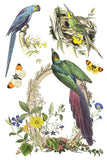 FLORA GRECA IOD TRANSFER 8X12 PAD