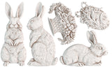 New Spring 2026 LES LAPINS bunny 6X10 IOD Mould 6x10
