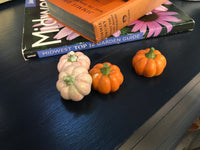 Mini Pumpkins