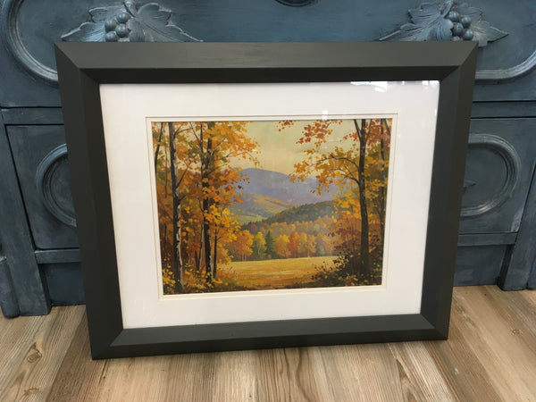 Fall Trees Picture