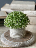 Bloom half sphere