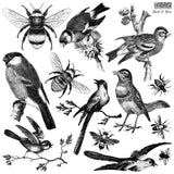 Birds & Bees 12X12 IOD STAMP