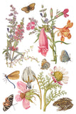PRIMROSE ISLE IOD TRANSFER 8X12 PAD™