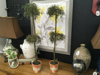 Tall Topiary