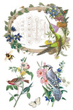 FLORA GRECA IOD TRANSFER 8X12 PAD