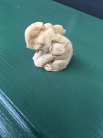 Mexico elephant