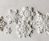 PREORDER Snowflakes 6X10 IOD MOULD