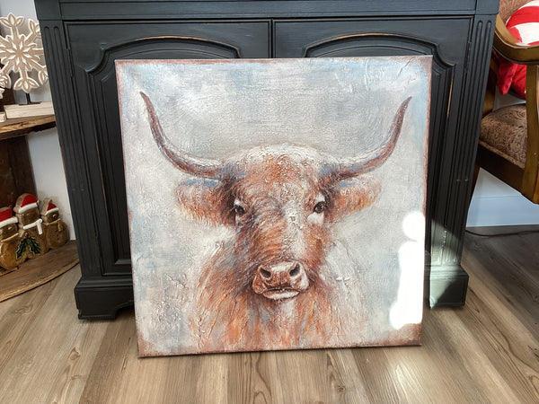 Horned Steer Picture