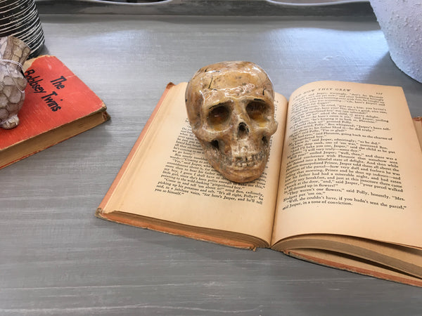 Ceramic Skull