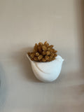 Bird wall hanging planter