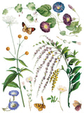 MARCHÉ DES FLEURS IOD TRANS