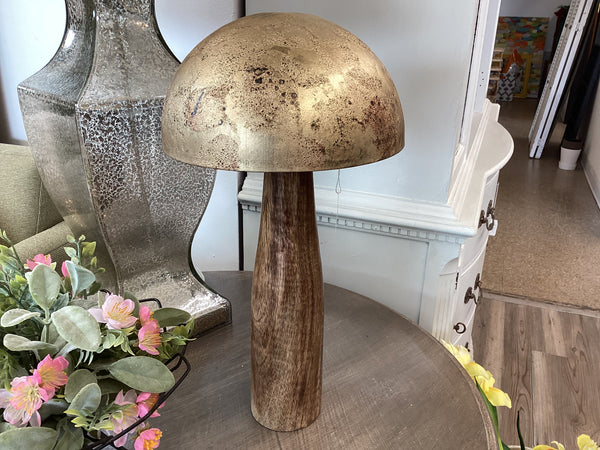 Large Mushroom