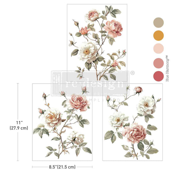 MIDDY TRANSFERS® – CREAMY BLUSH BLOOMS