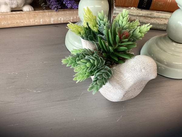 Succulent Bird