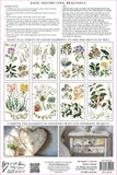 Botanists Journal IOD TRANSFER 12X16 PAD