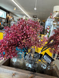 Burgundy chrysanthemum bundle